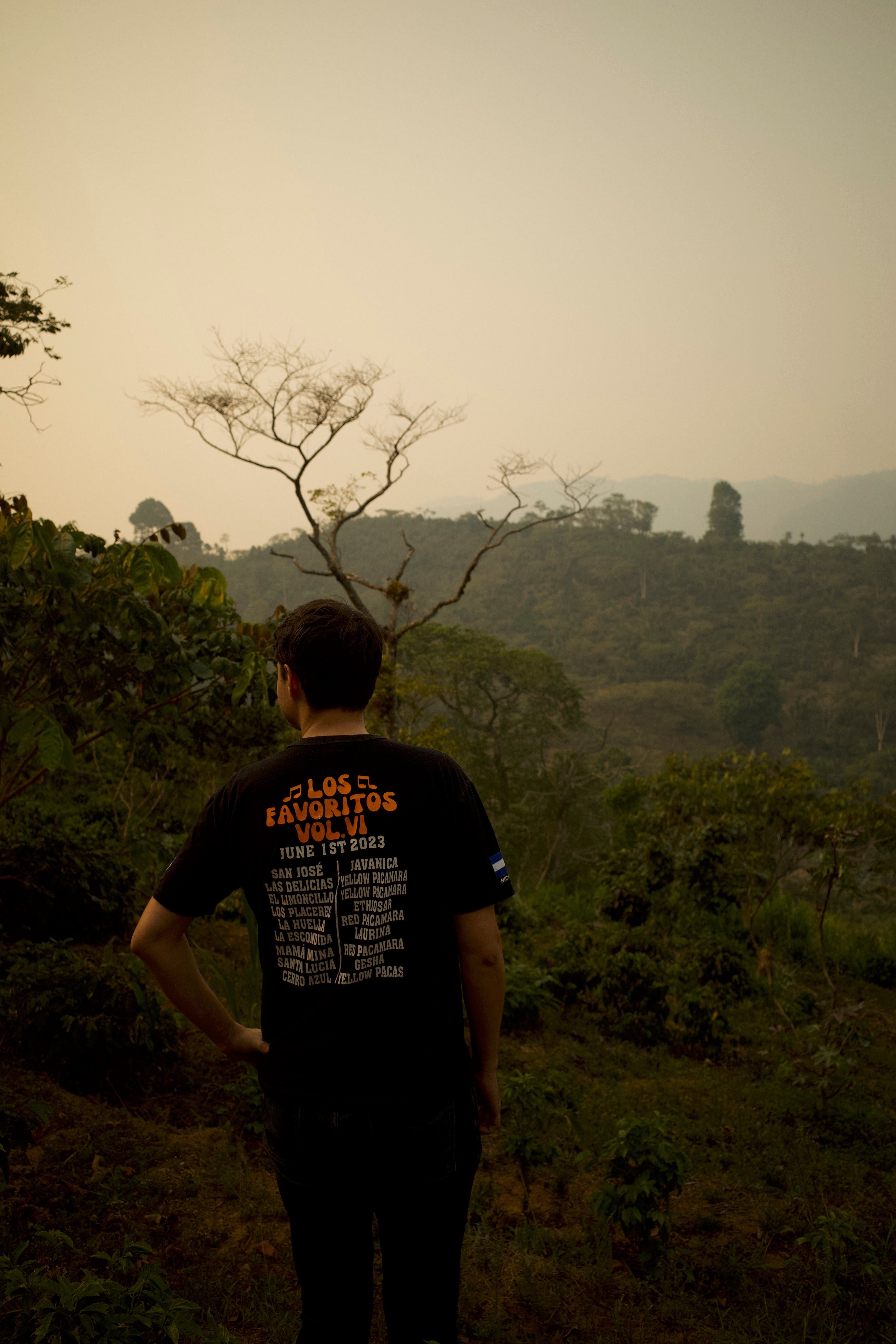 La Violeta - House Espresso